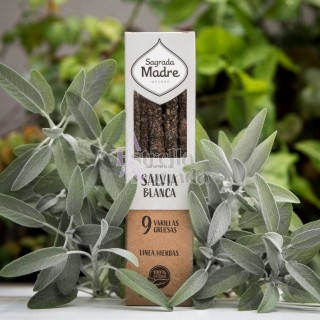 Sahumerios De Salvia Blanca Sagrada Madre