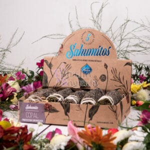 Sahumitos De Copal X5 Unidades Sagrada Madre