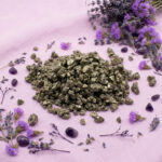 Picadillo Piedra Pirita 02